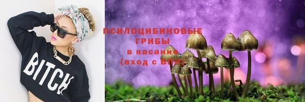 прущие грибы Сосновка