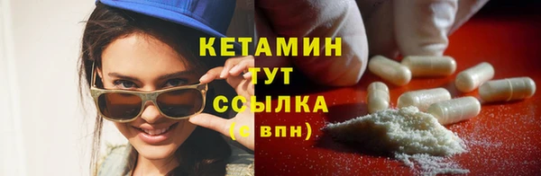 прущие грибы Сосновка