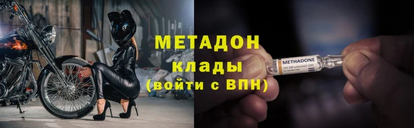 прущие грибы Сосновка