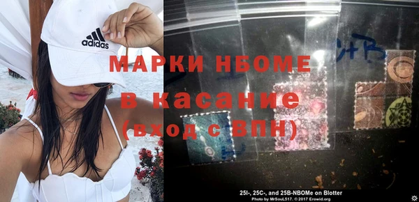 прущие грибы Сосновка