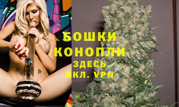 прущие грибы Сосновка
