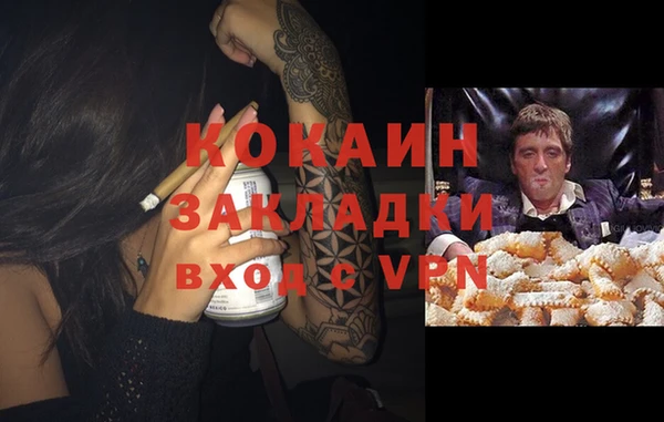 прущие грибы Сосновка