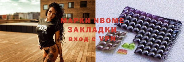 прущие грибы Сосновка