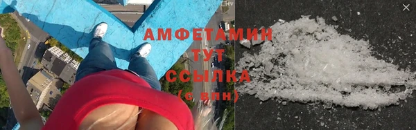 прущие грибы Сосновка