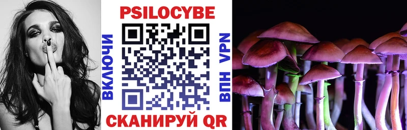 Купить где  Сафоново  Псилоцибиновые грибы GOLDEN TEACHER 